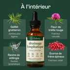 Lymphatique Drainage Erlona®