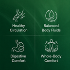 Lymphatique Drainage Erlona®