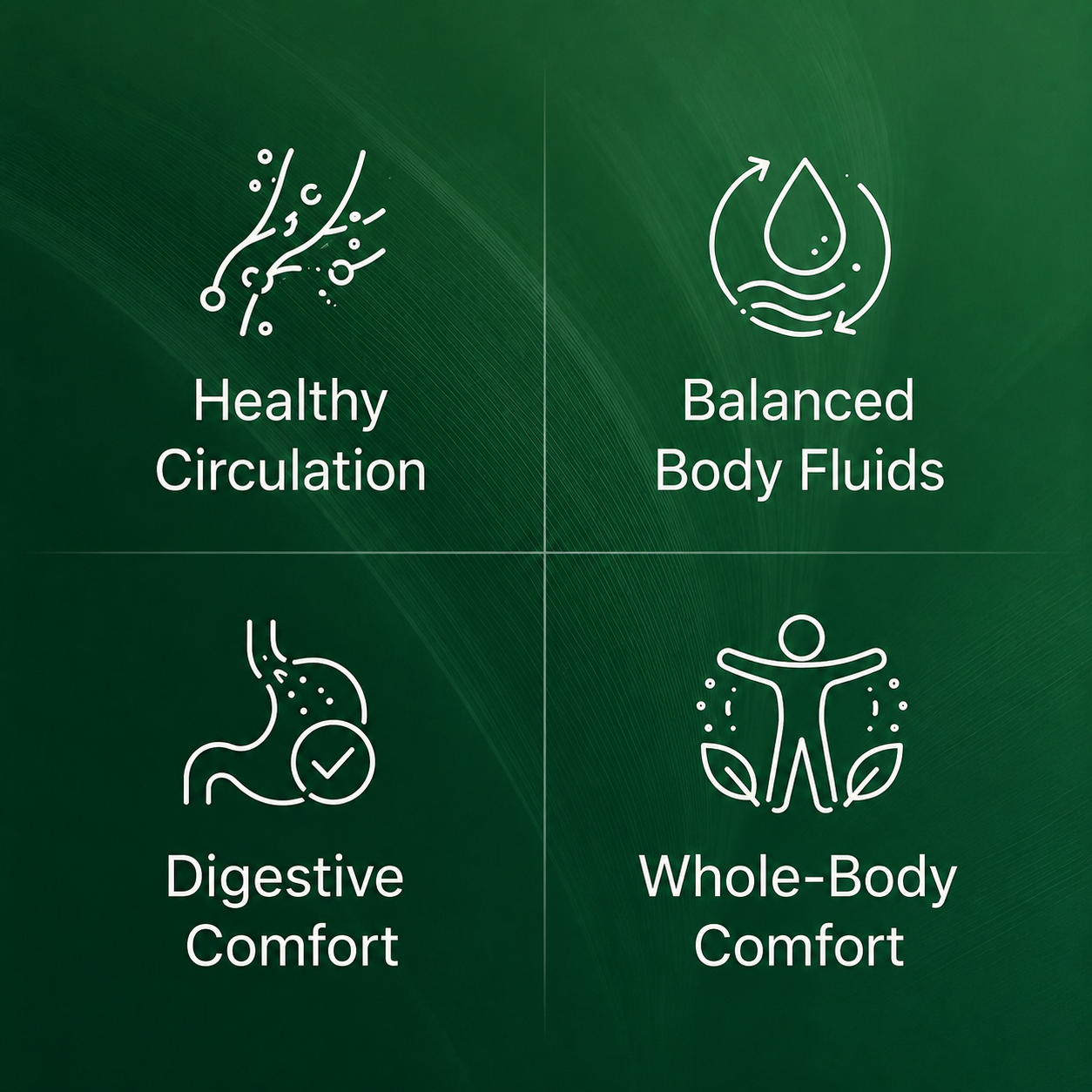 Lymphatique Drainage Erlona®