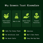 BloomaCare Natural Houseplant Food (120ml)